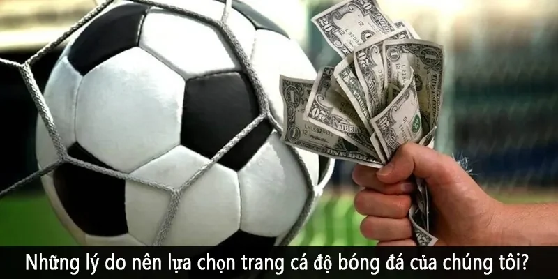 Những lý do nên lựa chọn trang cá độ bóng đá của chúng tôi?
