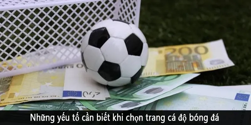 Những yếu tố cần biết khi chọn trang cá độ bóng đá